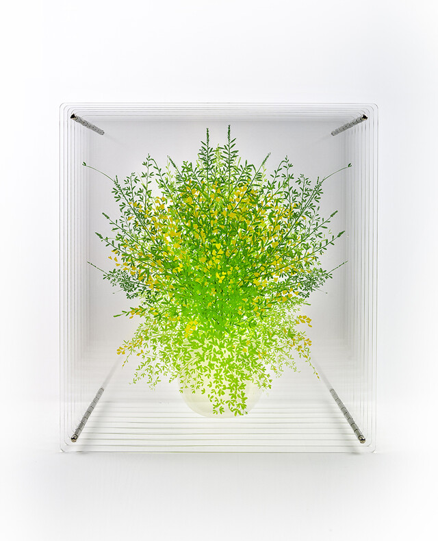 김서울, 반려식물-애니시다, 2025, silkscreen on acrylic plate, 60x54x45cm. 이미지 갤러리진선