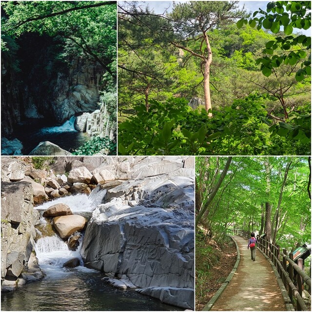 천년의 지혜가 흐르는 길, 가야산 해인사 소리길. 사진 대한민국 구석구석 누리집 갈무리.