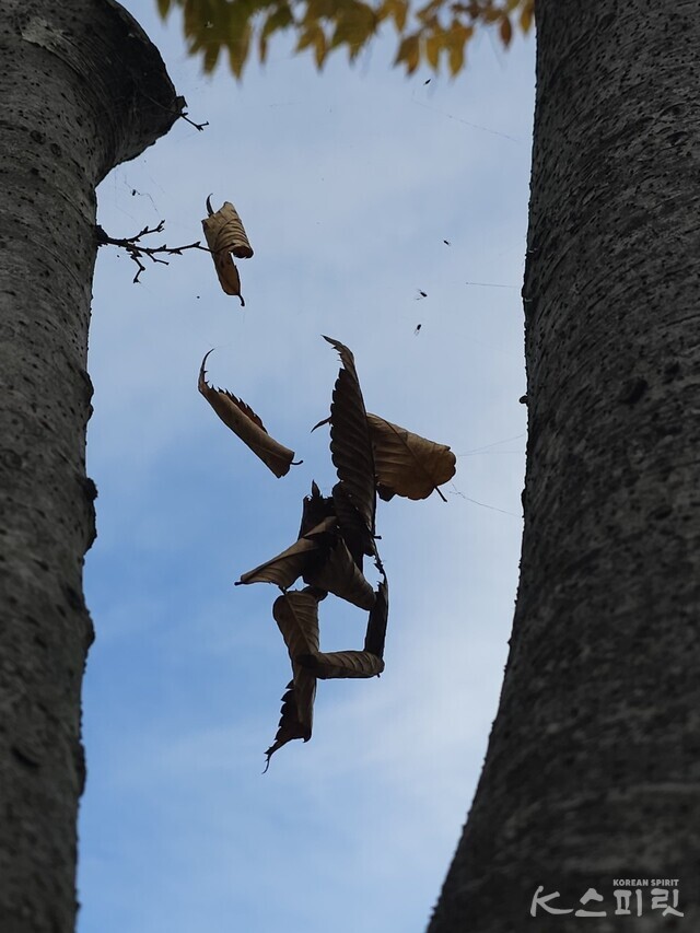 이선근 작가의 디카시 '은퇴자의 기도'. 사진 이선근 작가