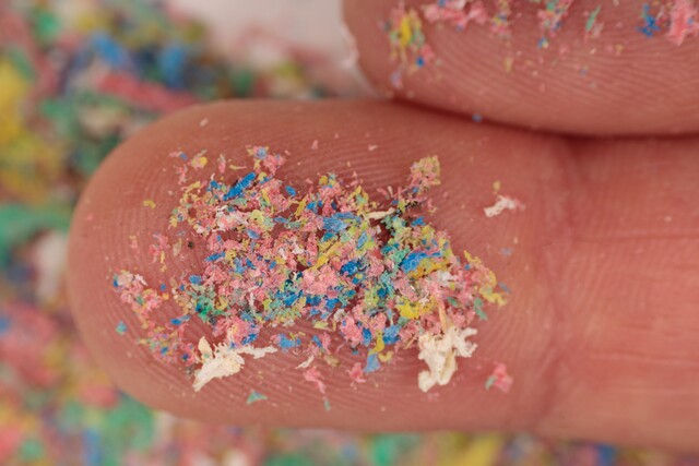 손가락 위의 미세플라스틱. 출처 프리픽