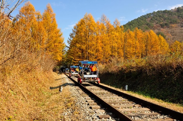 레일바이크 체험. 이미지 정선군청.