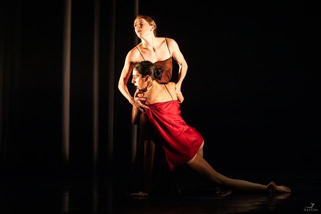 MODAFE 2025 (제44회 국제현대무용제) International Spark Award 수상자 Adriano Bolognino . 사진 한국현대무용협회