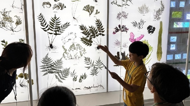 주니어 도슨트 활동 장면. 이미지 국립호남권생물자원관.