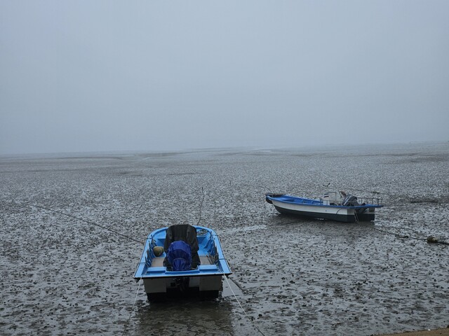 이운파 시인의 디카시 '타인들의 섬'. 사진 이운파 작가