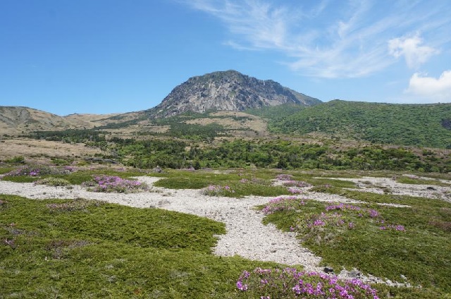 ‘한라산 모세왓 유문암질 각력암 지대’. 이미지 국가유산청.