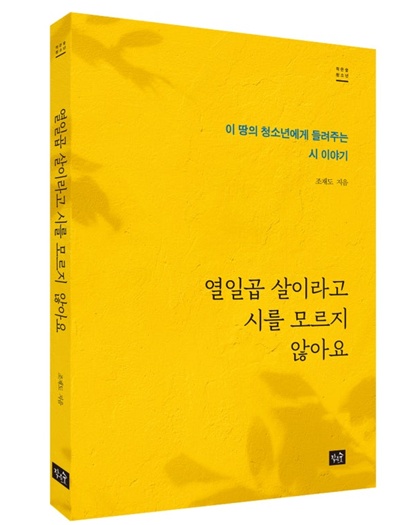 조재도 지음 "열일곱 살이라고 시를 모르지 않아요" 입체 표지. 이미지 작은숲