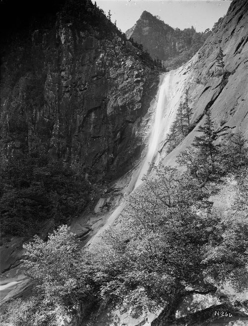 금강산 구룡폭포. 이미지 국립수목원.