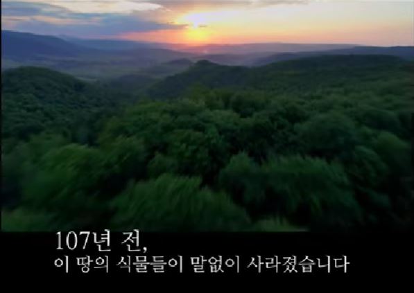 대한식물만세 캠페인 식물 기억 회복 사진 공모전 영상. 사진 국립수목원 유튜브 영상 갈무리.