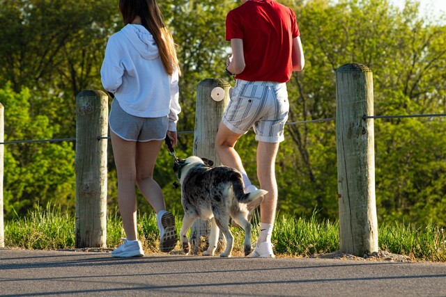 대한민국도 반려인 천만인이 넘는 백세시대를 맞이했다. 사진 Pixabay 이미지.