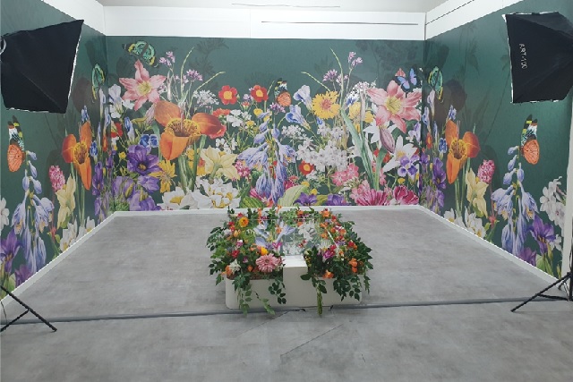 ‘사진 맛집’ 전시 장면. 이미지 국립중앙과학관.