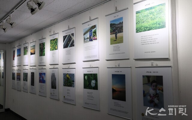 지난 7월 25일 열린 '제5회 디카시 전국 백일장대회'(명성문화예술센터 등 주최/주관) 출품작 전시회. 사진 강나리 기자.