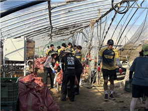 충남아산FC선수단 50여 명이 경기 휴식일인 7월 27일 연고지인 아산의 딸기하우스 수해 정리를 도왔다. 사진 행정안전부