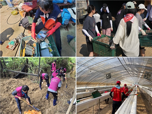 (시계방향으로) 이재민의 소중한 추억이 담긴 사진을 닦는 울산시 자원봉사자, 충남 당진시를 찾아 수해복구에 나선 충남대 학생들, 홍성군 마라톤 대회 참여를 계기로 홍성을 방문해 비닐하우스 정리를 돕는 광화문 페이싱팀, 충남 서산의 피해가구를 찾아 수해복구를 돕는 강남구 자원봉사자. 사진 행정안전부.