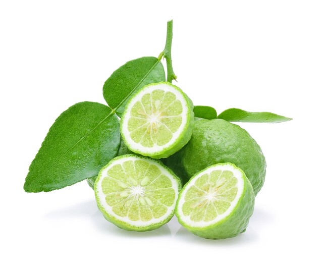 베르가못. 출처 클립아트코리아