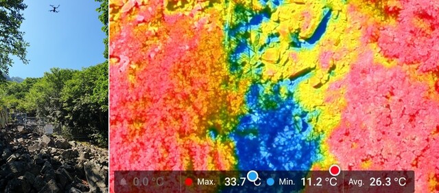 (왼쪽) 밀양 얼음골 열화상 드론으로 조사하는 장면. (오른쪽) 열화상 카메라로 촤영한 밀양 얼음골 전경으로 내외부 온도 차가 20도 이상이다. 사진 국립수목원.
