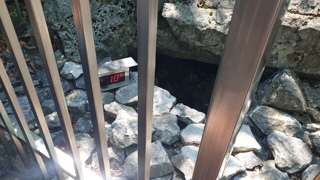 밀양 얼음골 결빙지 온도는 한낮에도 1도를 유지한다. 사진 국립수목원.