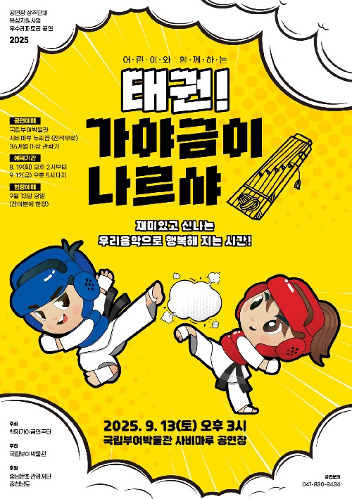 ‘태권! 가야금이 나르샤’ 포스터. 이미지 부여박물관.