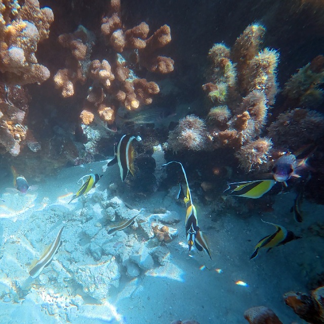 '봄의 선언' 전시작. 이미지 ACC.