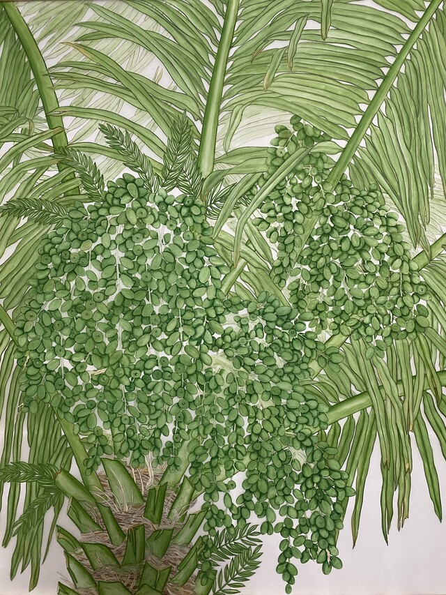 WINDMILL PALM(생명), 20240316, Mineral Color on silk, 100x80cm. 이미지 임지영