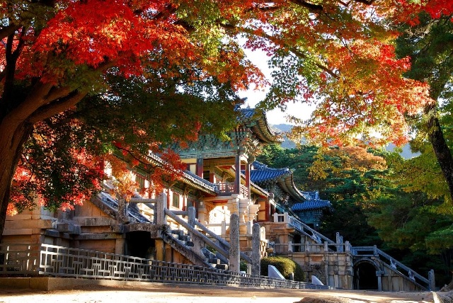 불국사 전경. 이미지 경주시.