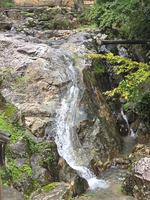 쏟아지는 계곡물을 품은 소쇄원 절경. 소쇄원 48영 중 하나인 '위암전류'에서 명주비단 한 필을 펼쳐 놓은 듯하다고 표현했다. 사진 소쇄원.