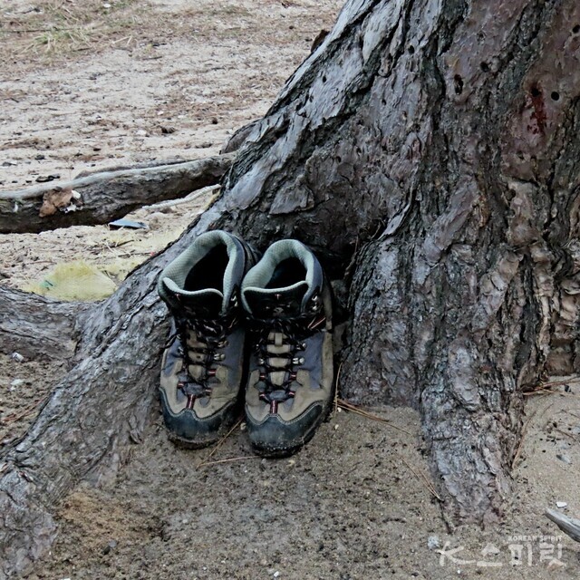 김태은 작가의 디카시 '동행'. 사진 김태은 작가.