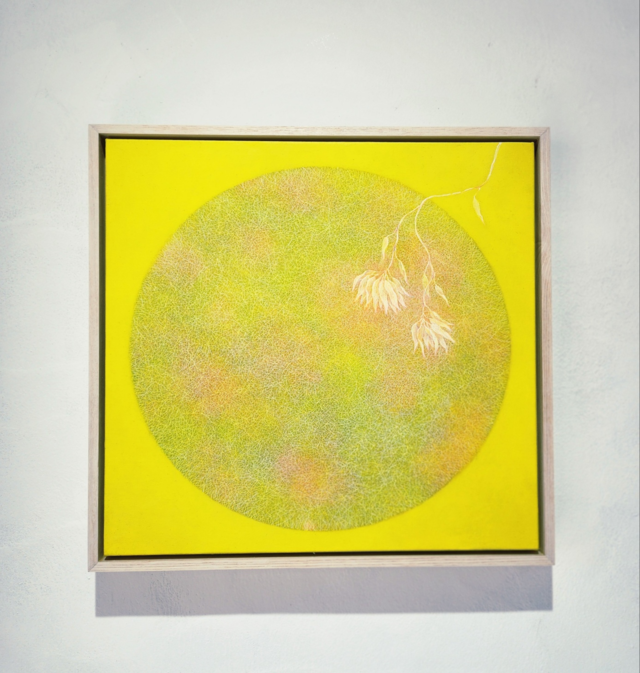 스텔라 갤러리 "달을 품다" 전시장내 작품 설치 모습. 이미지 스텔라 갤러리