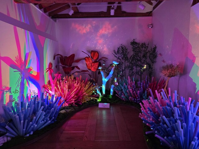 플랜테리어·조경 디자인 그룹 마초의사춘기가 전시한 ‘공존(共存)’. 사진 마초의사춘기