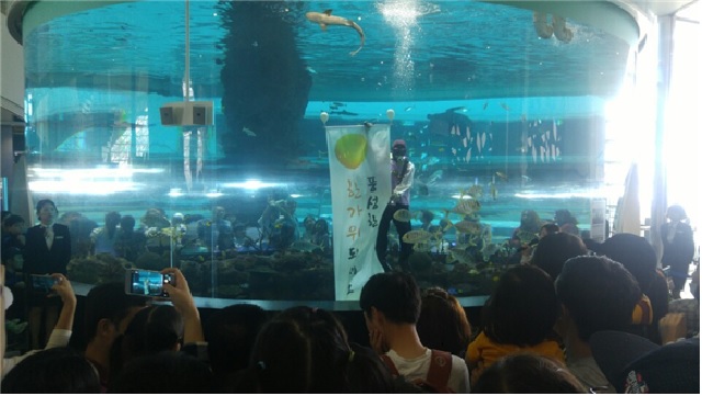 해양문화행사 포스터. 이미지 국립해양박물관.