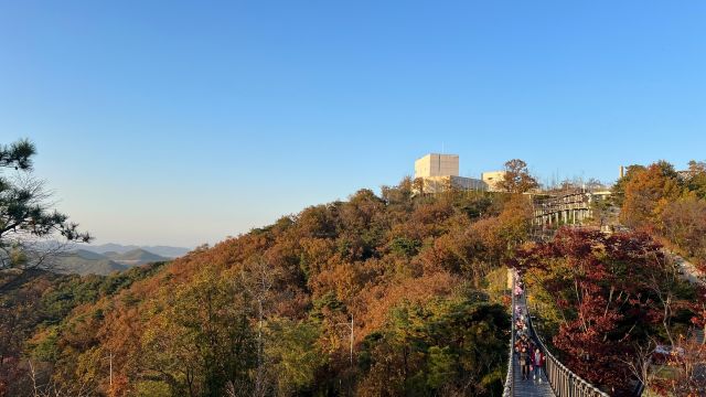애기봉평화생태공원. 사진 김포문화재단