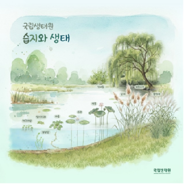 ‘습지생태원의 가을’ 포스터. 이미지 국립생태원.