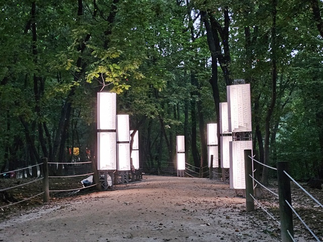 선릉 정릉 '왕가의 산책' . 사진 정유철 기자