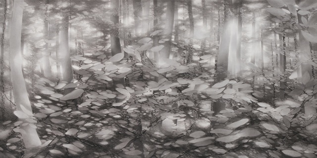 숨결의 숲(Breath Forest), 2025, 한지에 수묵, 91×182cm(2piece 연작). 이미지 히든엠갤러리