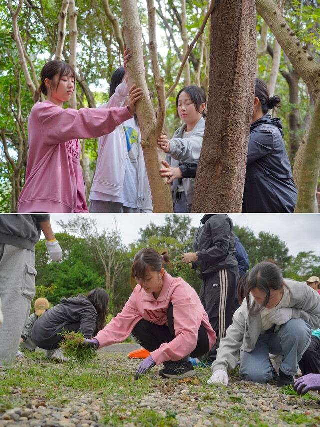 자연 속에서 공생의 의미와 가치를 체험하는 한일 청소년들. 사진 벤자민인성영재학교.