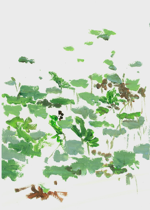 박경진, 2025.7, 전주 오송제 사생. 이미지 오온 제공