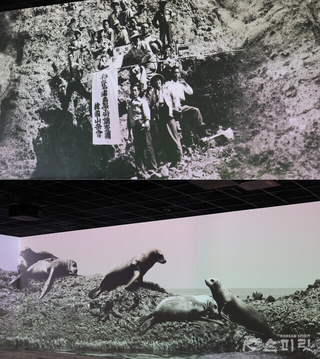독도체험관에서는 독도의 현재 뿐 아니라 과거의 모습도 AI로 만날 수 있다. (위) 독도학술조사단 활동. (아래) 독도 강치들. 사진 강나리 기자.