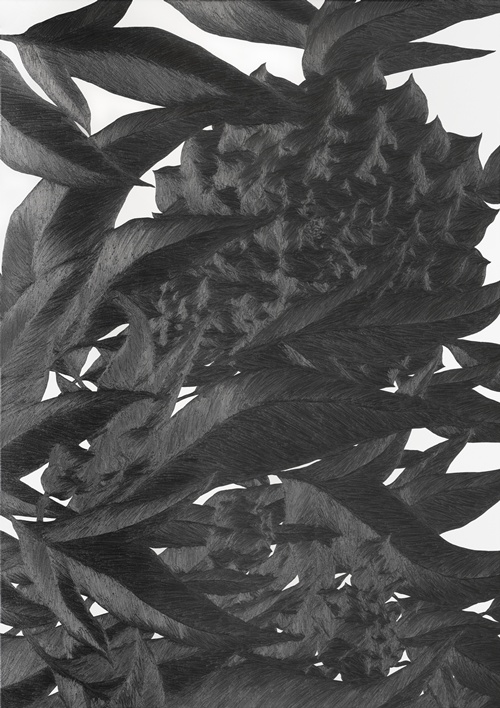 그려보다, 2025, 종이 위에 연필, 172x122cm. 이미지 서울아트나우