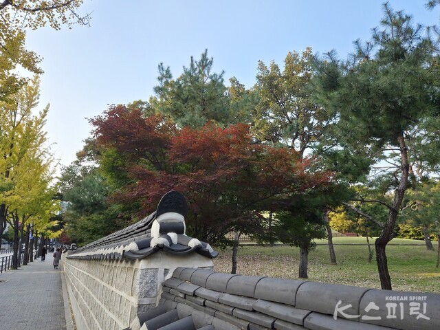 단풍이 물드는 속도도 제각각. 사진 강나리 기자.