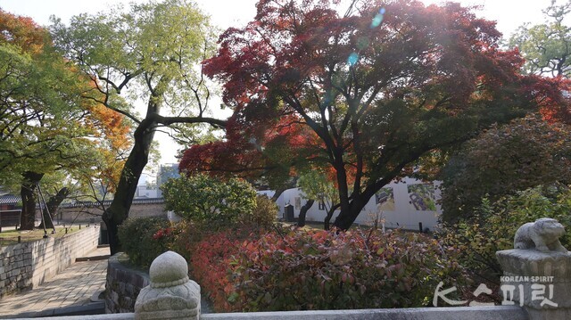 창덕궁 금천교 인근 단풍이 짙다.  입구쪽. 사진 강나리 기자.