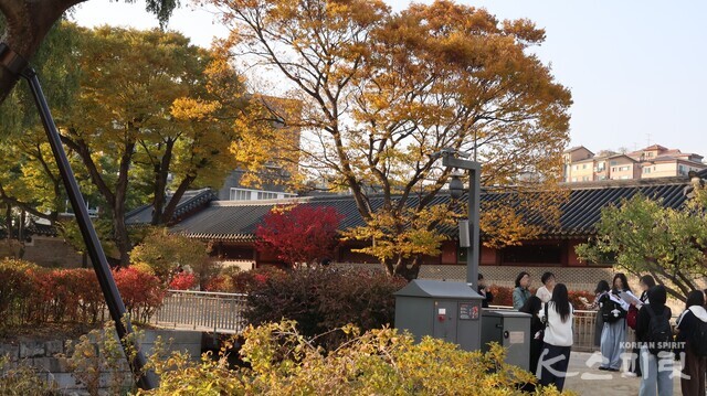 창덕궁 금천교 인근 단풍이 짙다. 출구쪽. 사진 강나리 기자.