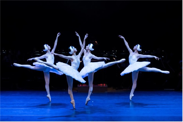 ‘백조의 호수’ 공연 장면. 이미지 마포문화재단.