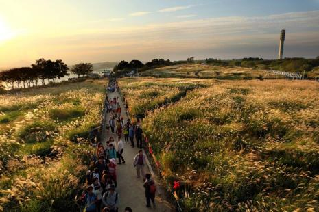 하늘공원 억새길. 서울시 아름다운 단풍길 사진공모전 수상작. 사진 서울시.
