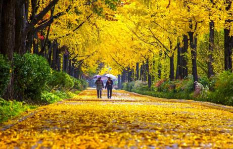 송파구 위례성길. 서울시 아름다운 단풍길 사진공모전 수상작. 사진 서울시.