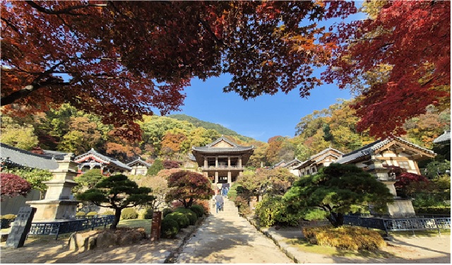 부석사 가을 경관. 이미지 소백산국립공원사무소.