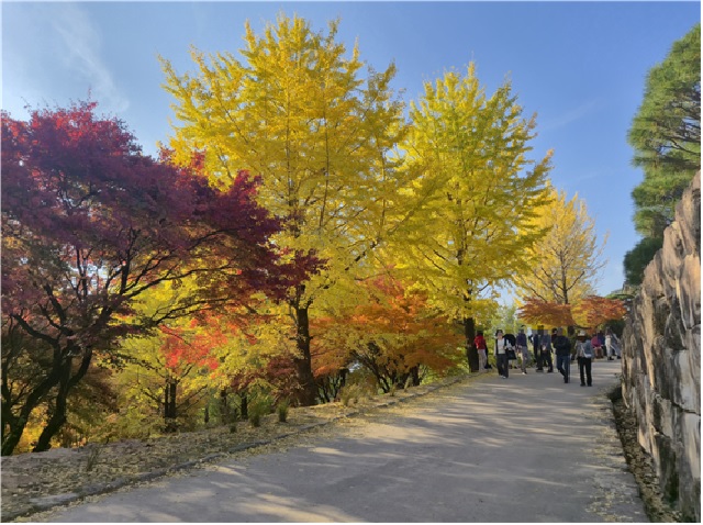 부석사 가을 경관. 이미지 소백산국립공원사무소.