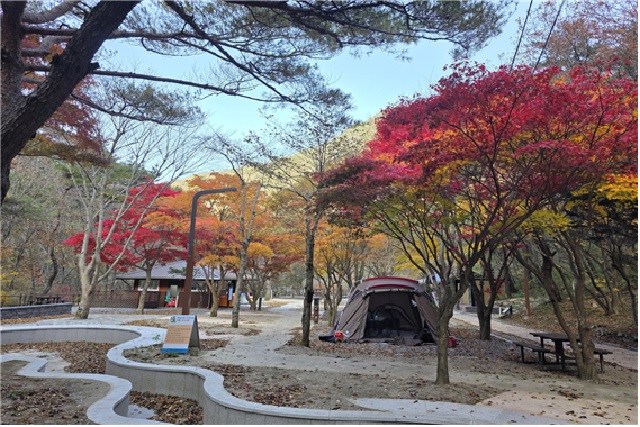 남천야영장. 이미지 소백산국립공원사무소.