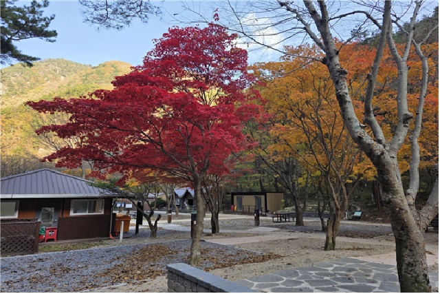 남천야영장. 이미지 소백산국립공원사무소.