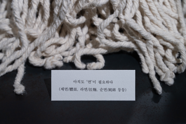 아직도 ‘면’이 필요하다 (체면/體面, 라면/拉麵, 순면/純綿 등등), 2025, 마포걸레. 이미지 갤러리밈