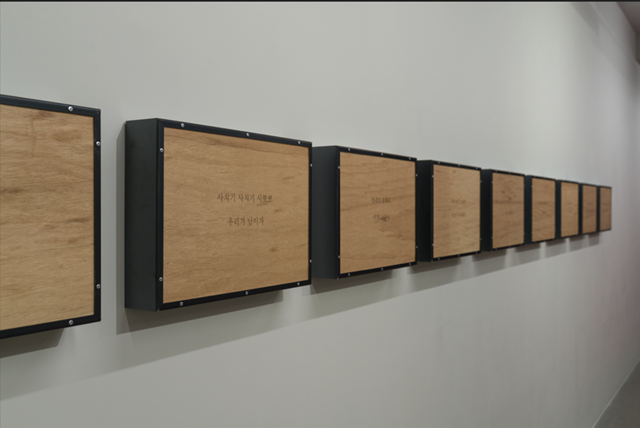 익숙한 문구들 연작 12점, 2025, 합판에 레이저, 29.7x42cm(각각). 이미지 갤러리밈