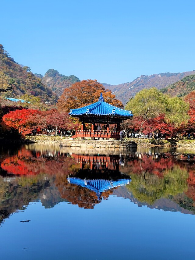 조필 작가의 디카시 '가을앓이'. 사진 조필 작가
